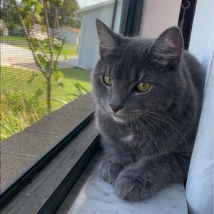 Meet your Posher, Erika